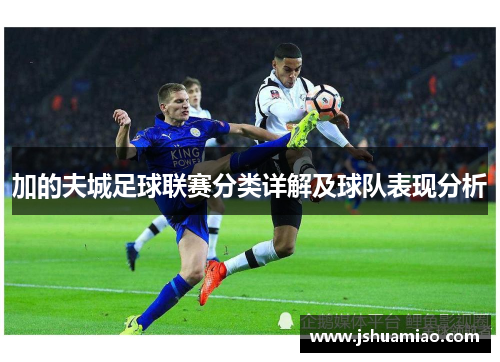 加的夫城足球联赛分类详解及球队表现分析